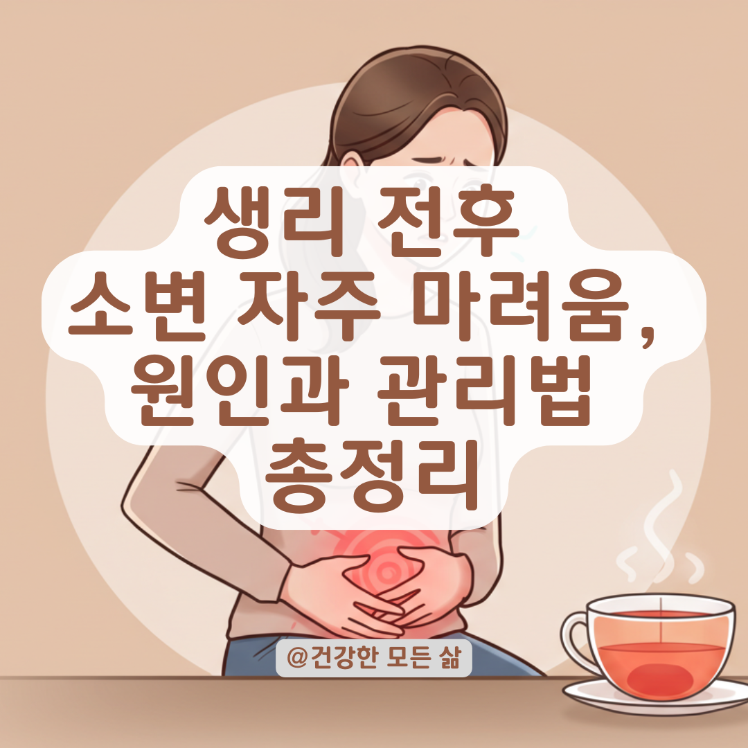 소변 자주 마려운 생리 전후 증상, 병원 가기 전 알아두면 좋은 정보 정리.