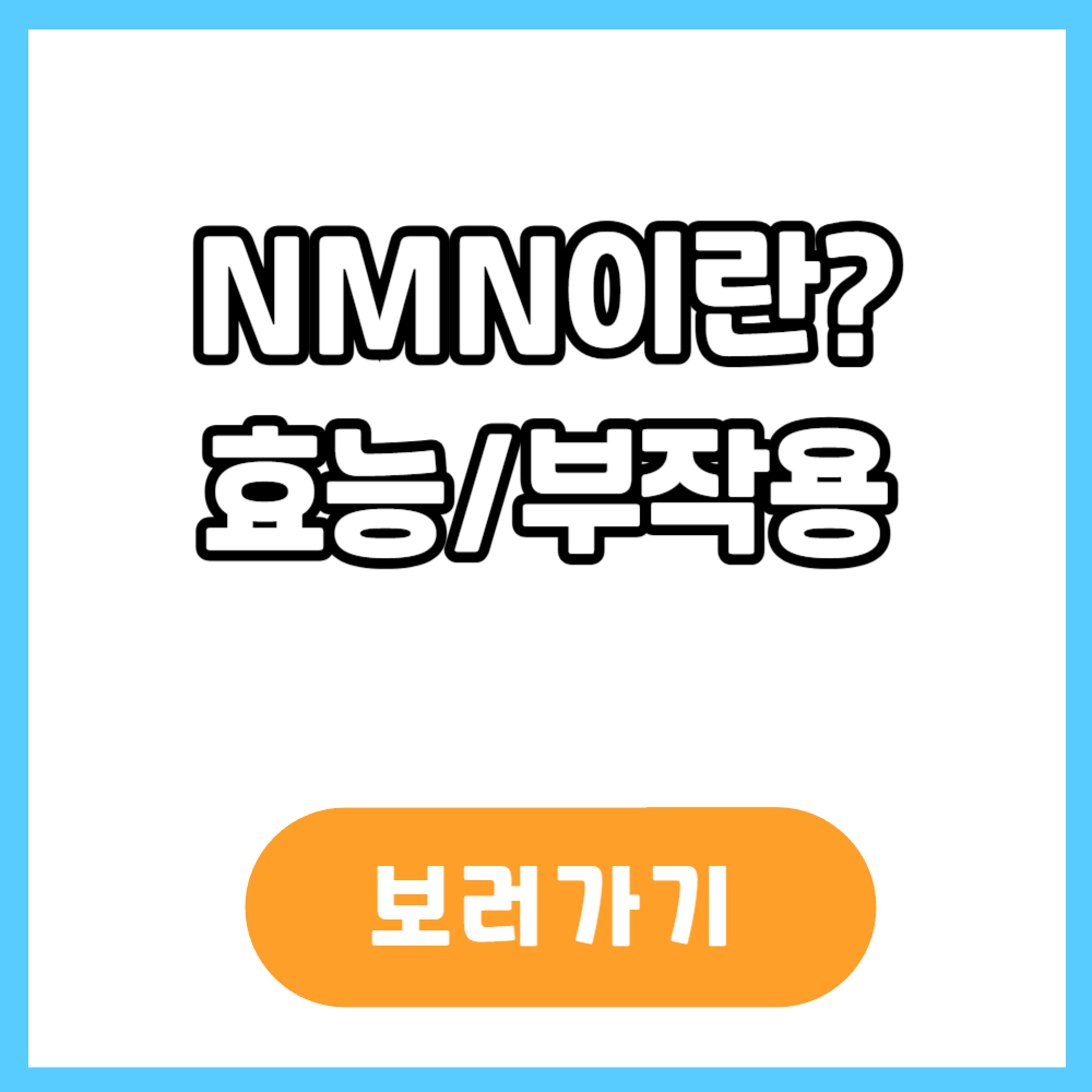 nmn효능