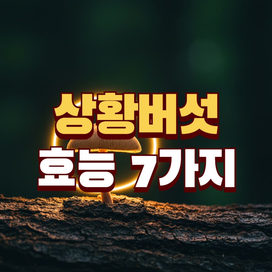 상황버섯 효능