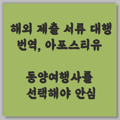 중국 Q1 비자 발급용 가족관계증명서 및 혼인관계증명서 중국 아포스티유