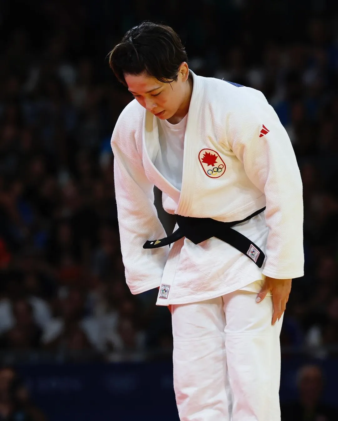 데구치 허미미 악플