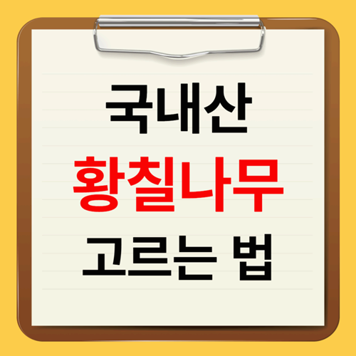 황칠나무의 건강 효능