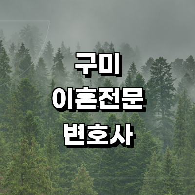 구미시 이혼 변호사