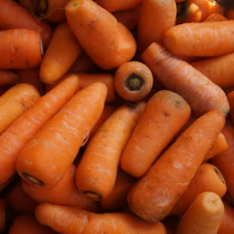 당근 효능 부작용 고르는법 칼로리