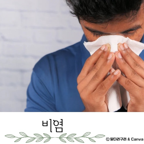 가정용 비염 치료기 추천 치료방법