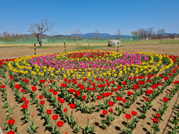 구미 가볼만한곳: 낙동강체육공원