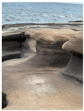 디지털 관광주민증 발급