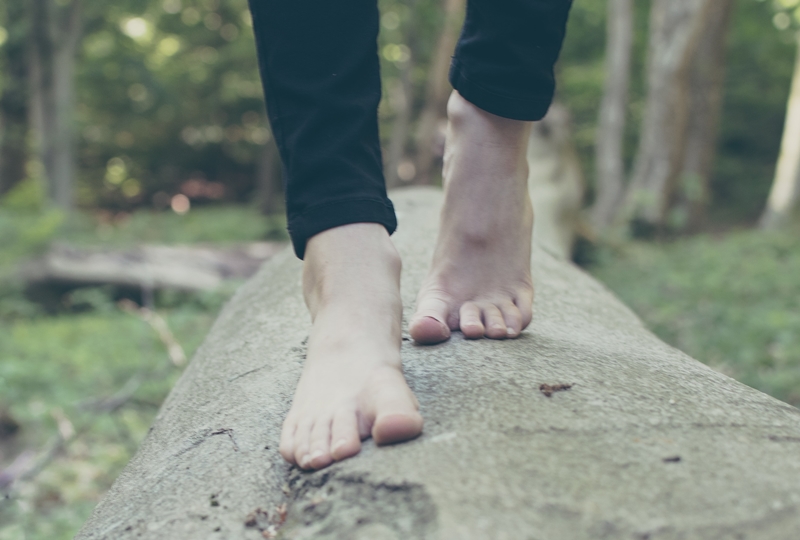 나무위에서-걷고-있는-발