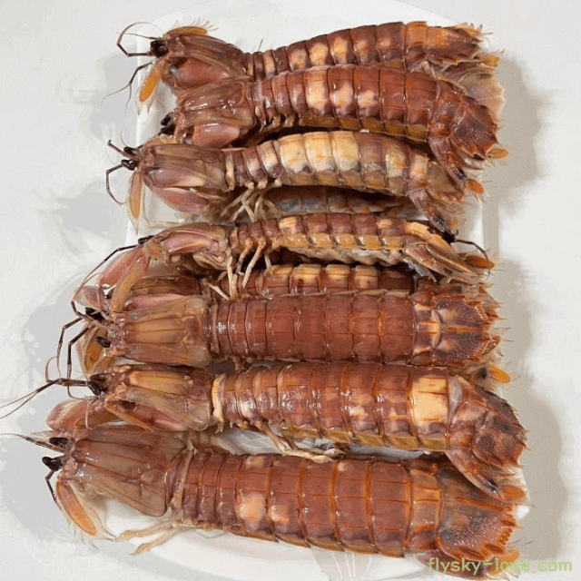 갯가재 구이