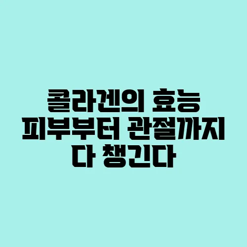 콜라겐의 효능 피부부터 관절까지 다 챙긴다