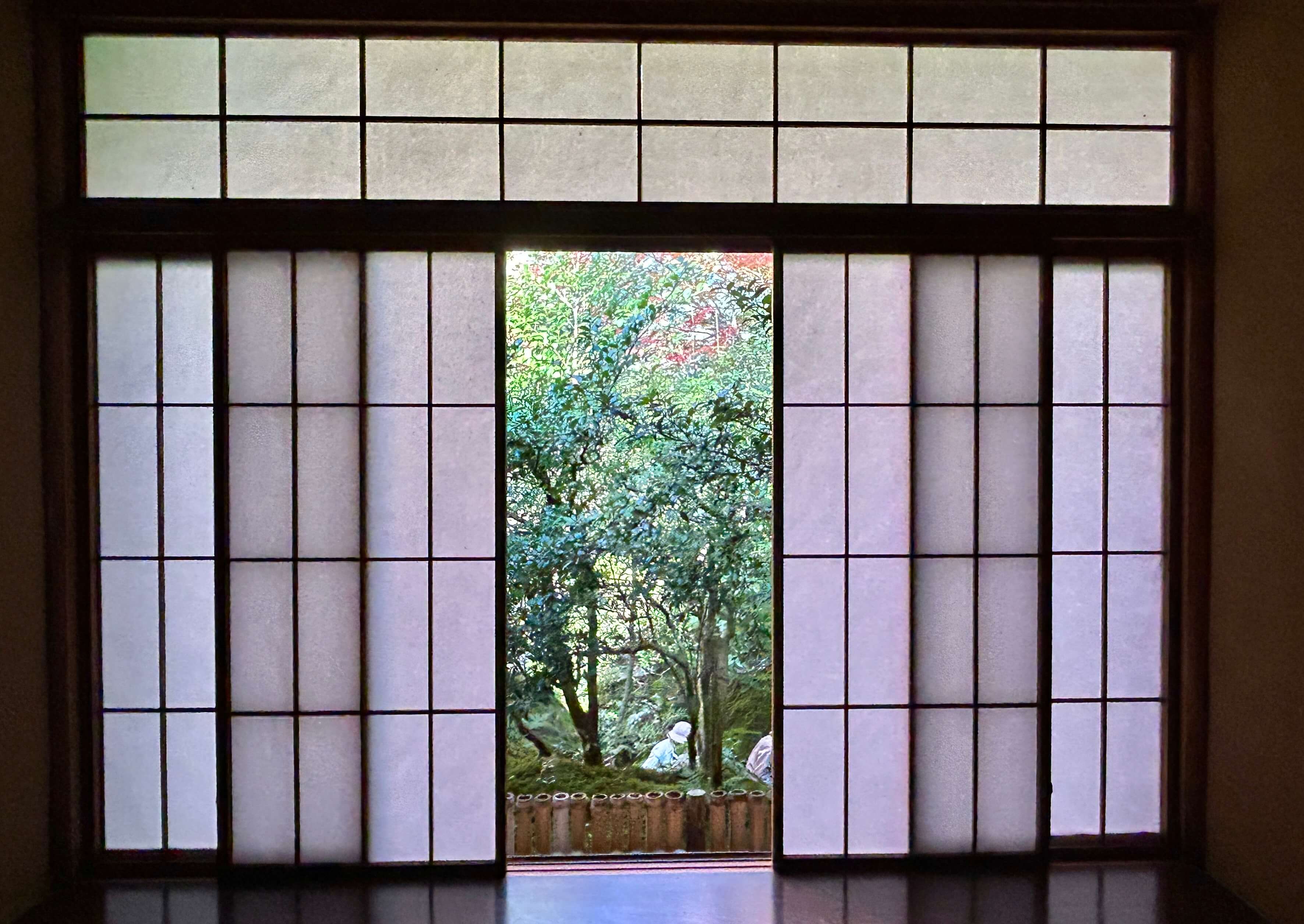 오사카 현지인도 간다! 교토 루리코인 가을단풍 명소 후기 관련사진