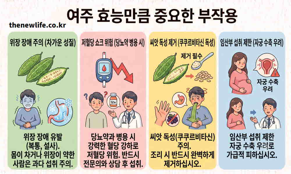여주 효능 부작용