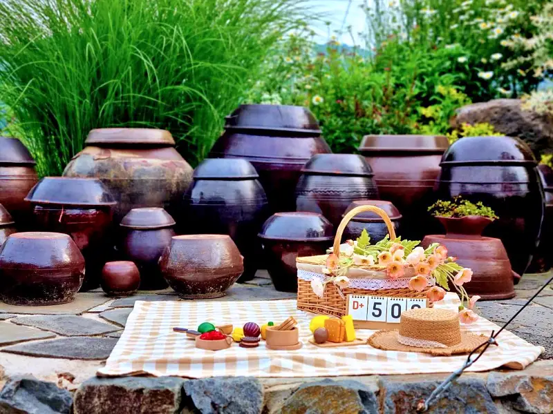 생방송오늘저녁 경남 양산 직접 재배한 무농약 유기농 도라지를 이용한 도라지라떼, 도라지꿀차 한옥 카페 맛집 추천