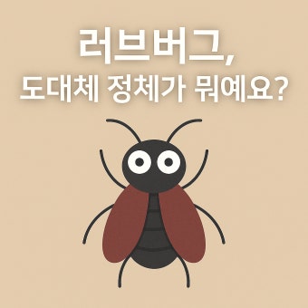 러브버그 출몰시기 및 퇴치방법