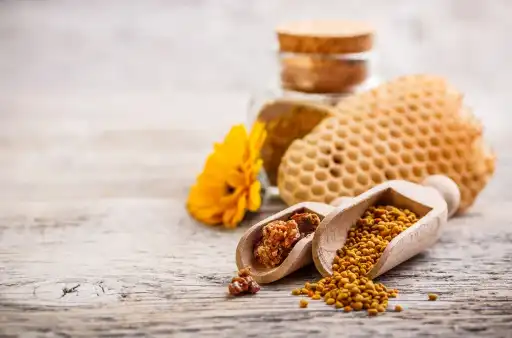 프로폴리스 효능효과 영양성분과 부작용