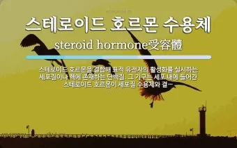 수원수구 뜻 유래 자기반성 의미_24