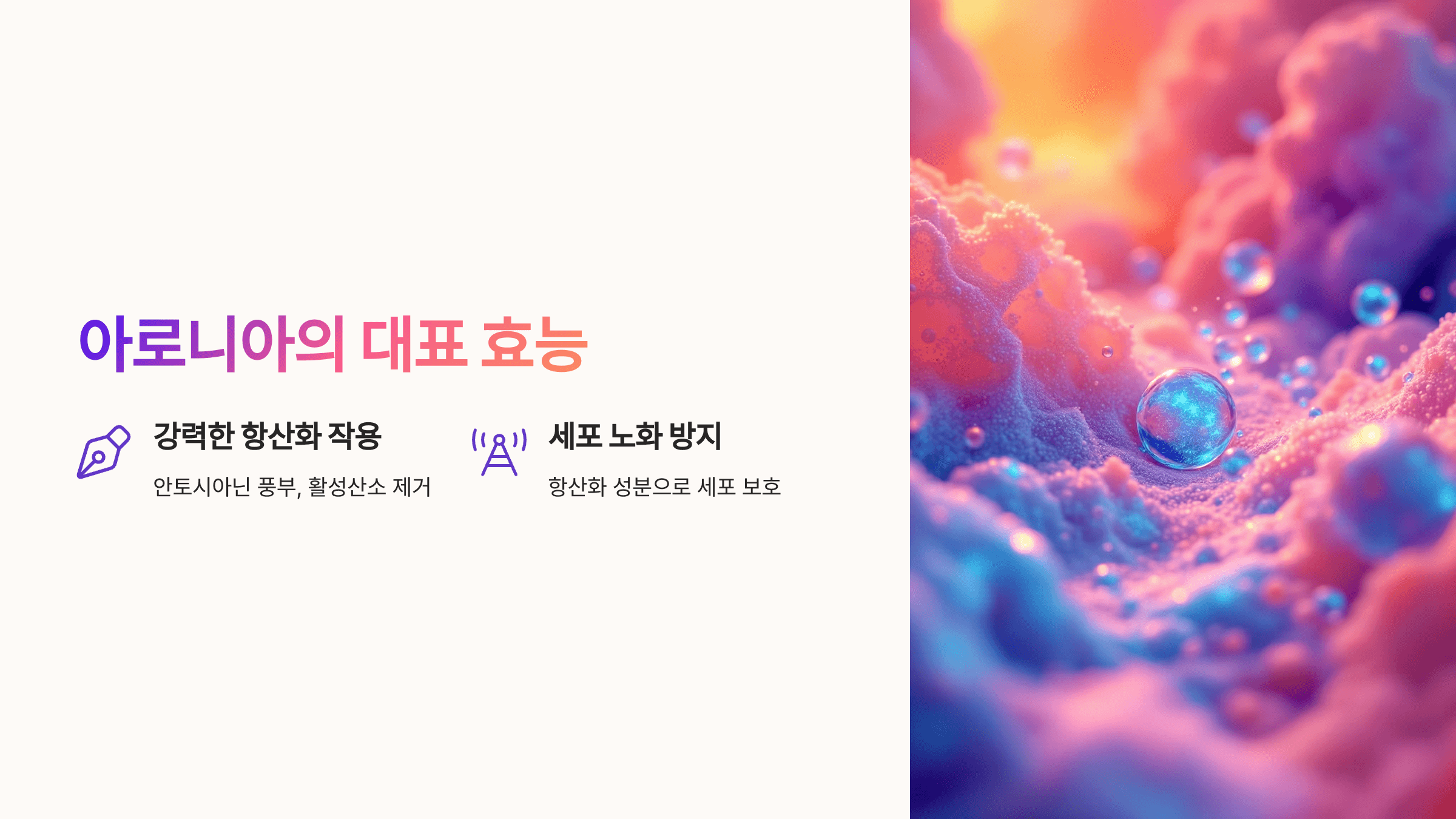 아로니아 사진입니다.