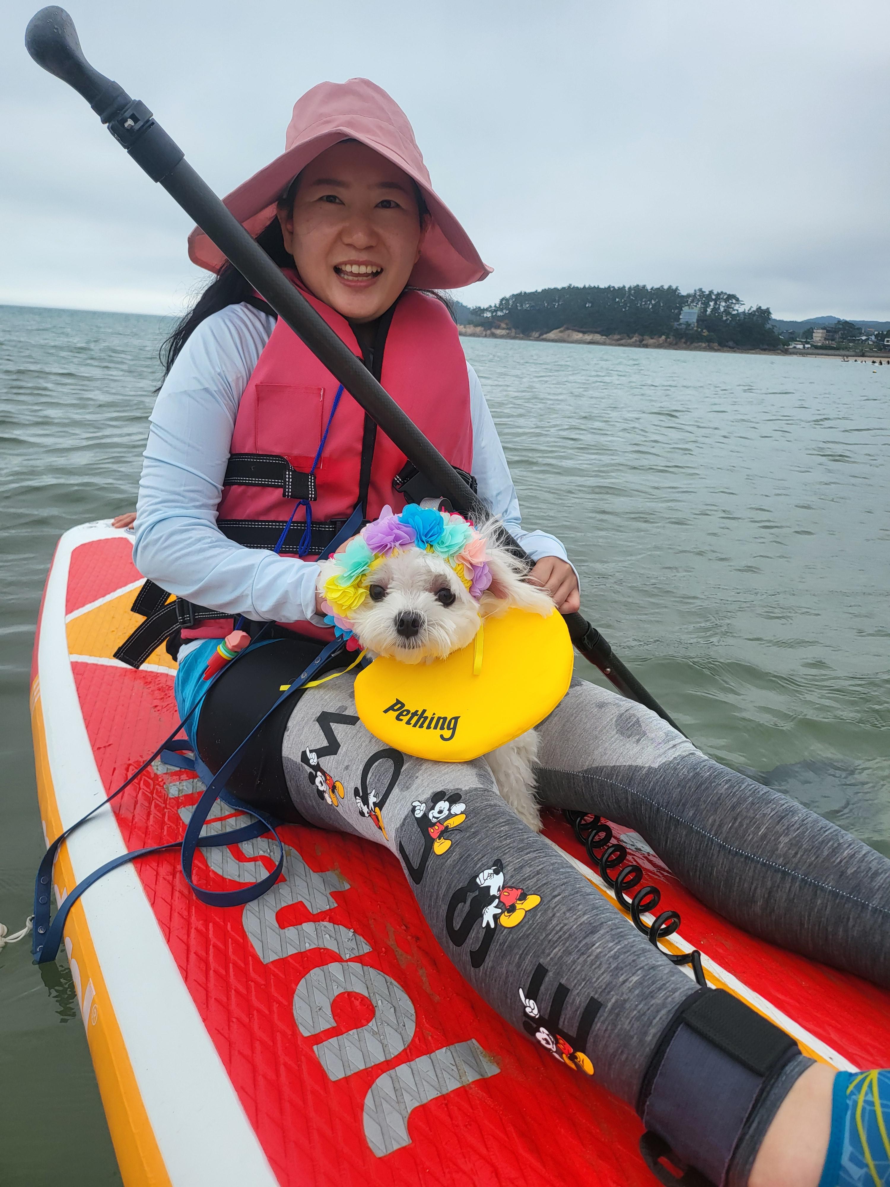 태안 패들보드 체험중