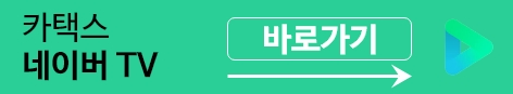 법인차량법인세절감
