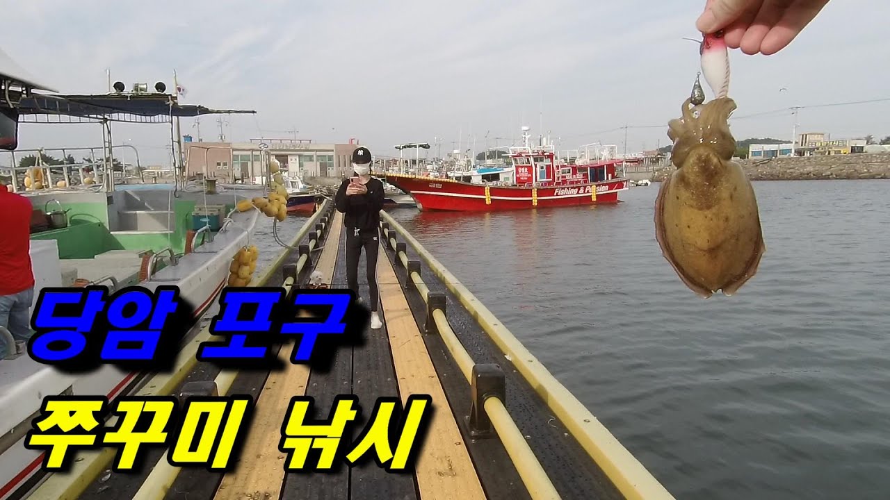 당암포구 쭈꾸미 낚시