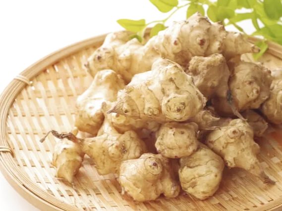 차로 우려 마시는 돼지감자