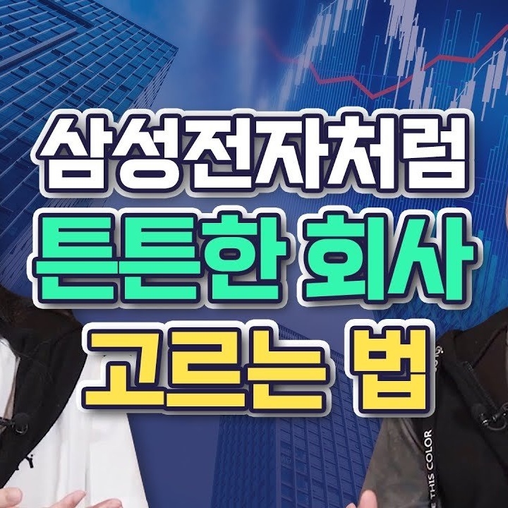 삼성전자처럼 튼튼한 회사 고르는 법