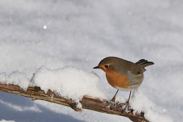2026년 1월 25일 31일 전국 날씨 예보