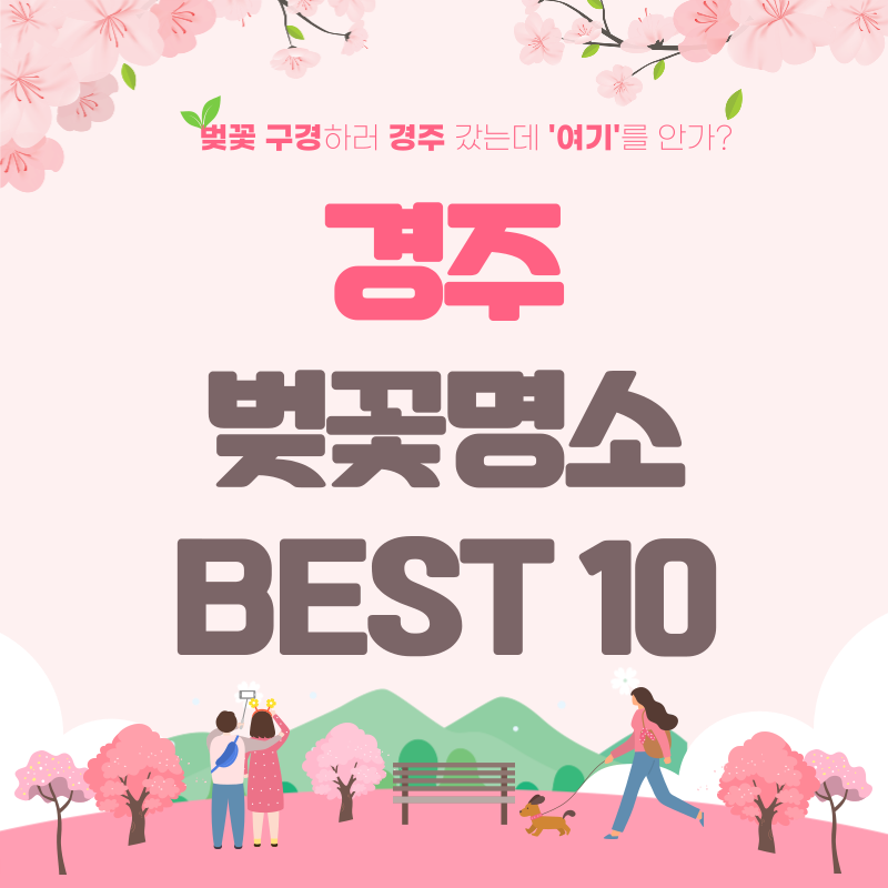 경주 벚꽃 명소