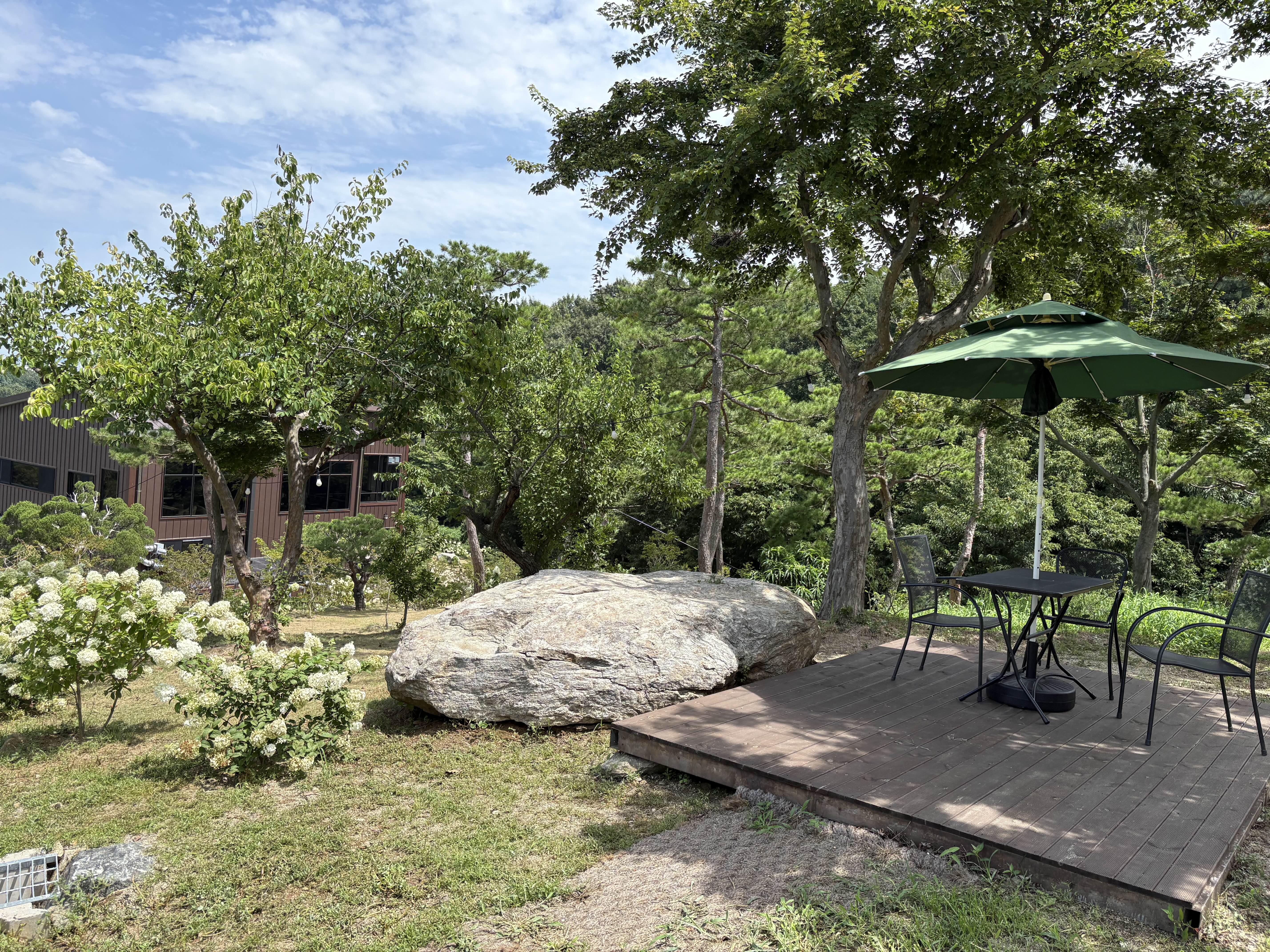 [아산 배방 카페] 배방 숲 방문기 &amp;#124; 브런치&amp;#44; 반려견 야외 동반 가능한 힐링 카페