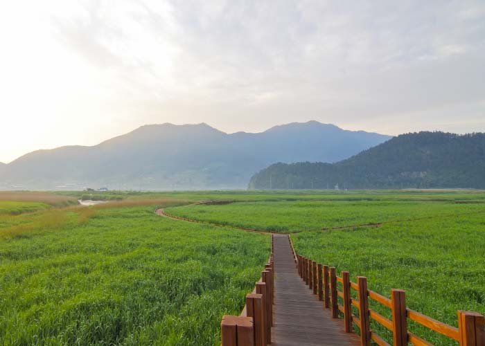 순천만