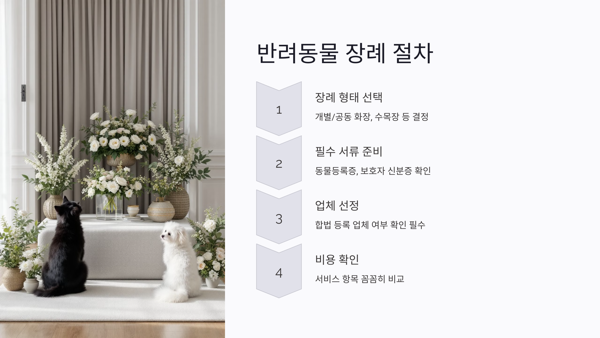 반려동물 장례 절차, 후회 없는 준비 방법은?