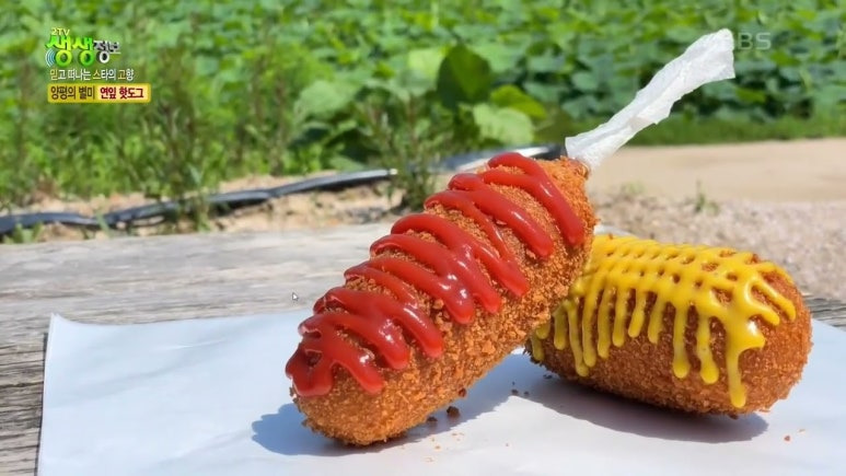 양평 핫도그 데이트 맛집, 두물머리 연핫도그