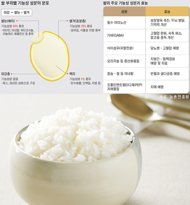 저당밥솥 당뇨