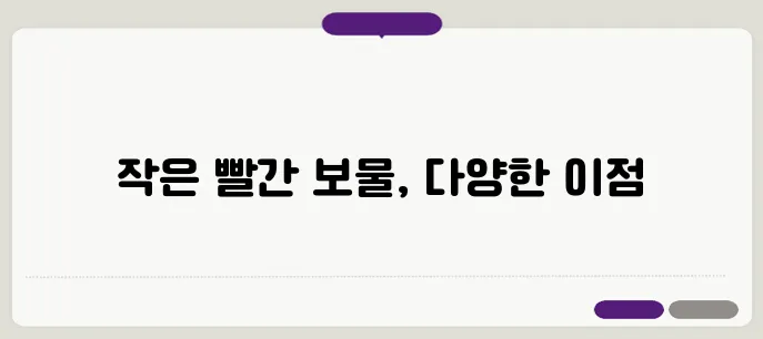 크랜베리의 효능 이보다 자세히 설명할순없다