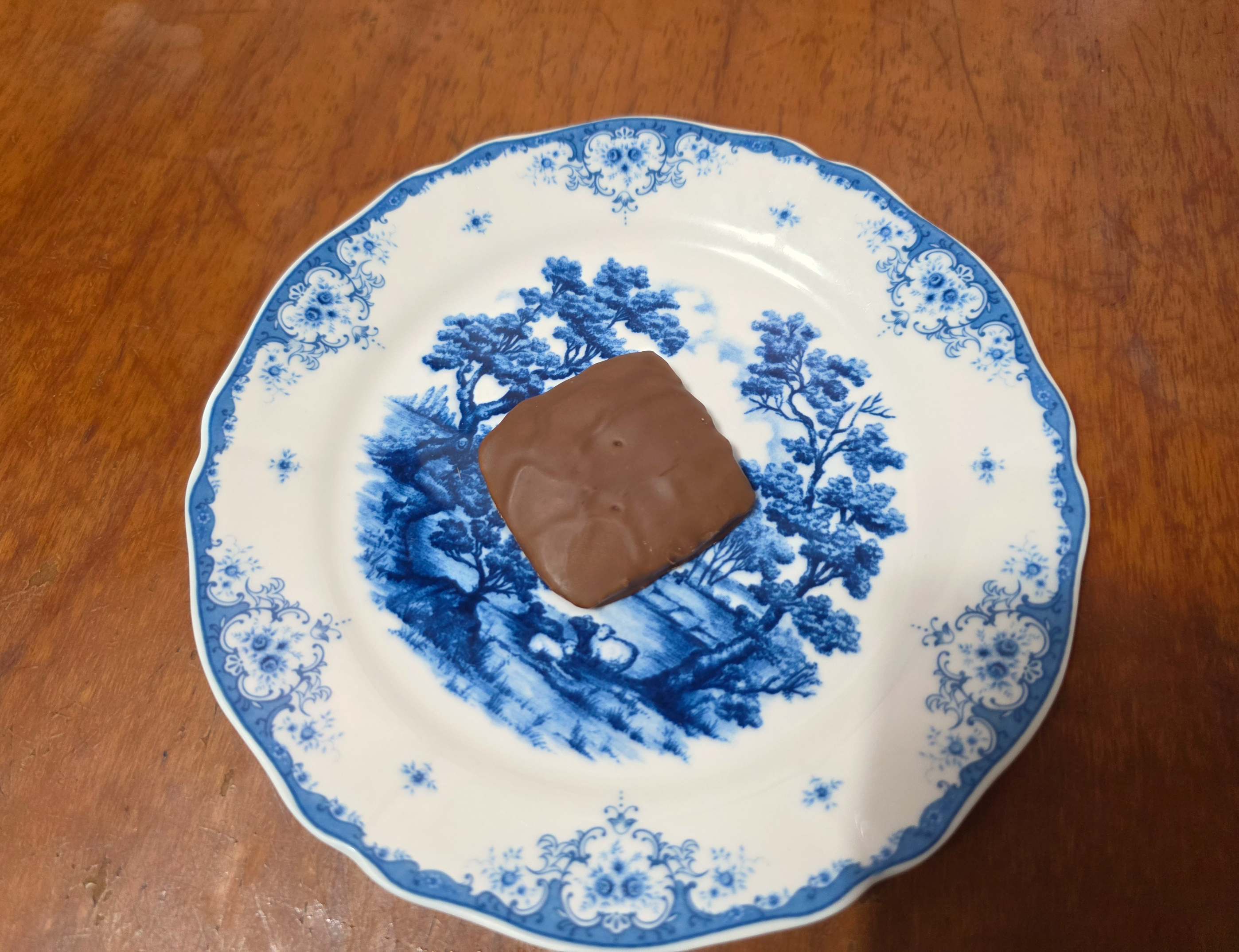 일본여행선물안테노르카카오비스킷오쇼콜라