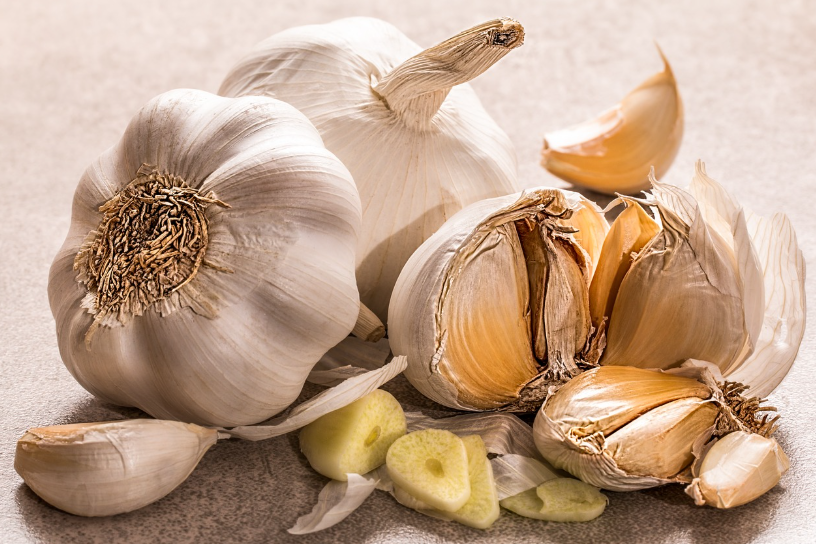 면역력을 높이는 마늘 관련 사진