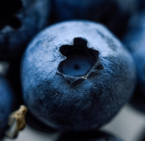 눈에 좋은 음식