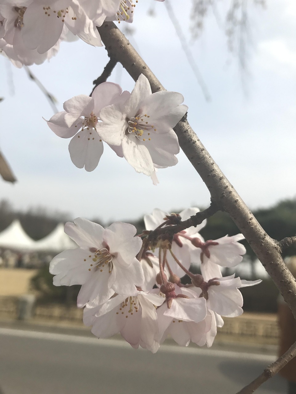 국가유공자 혜택