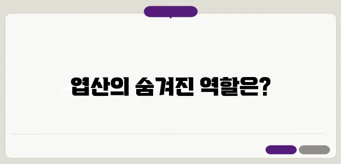 엽산 효능: 건강을 위한 필수 비타민