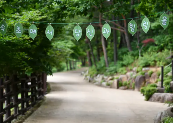 설악 케이블카 운행시간 예약방법 요금할인