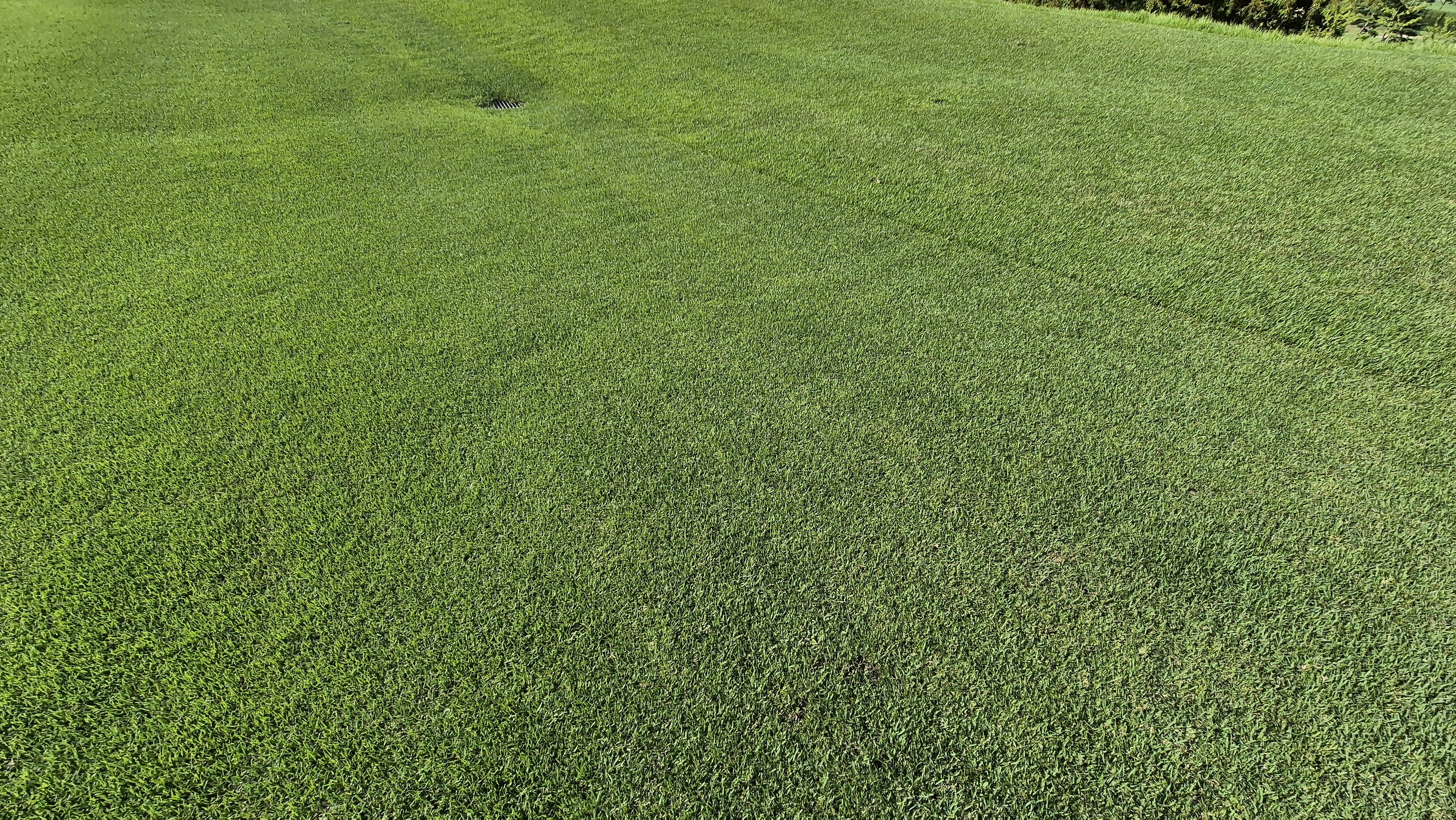 골프존카운티 화랑 라운드 후기