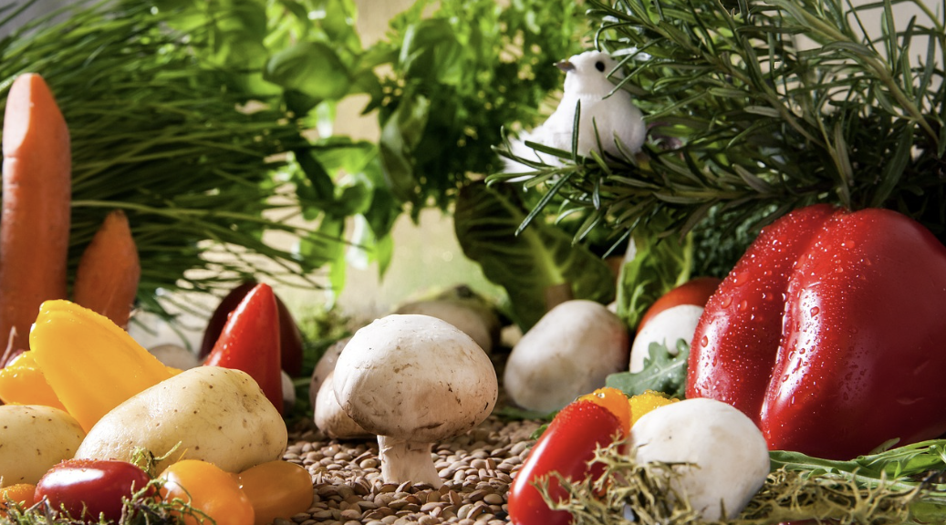 다이어트 도시락