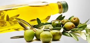 스페인 올리브유