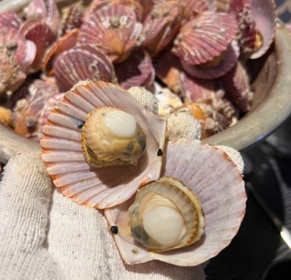 굴가리비찜무한리필