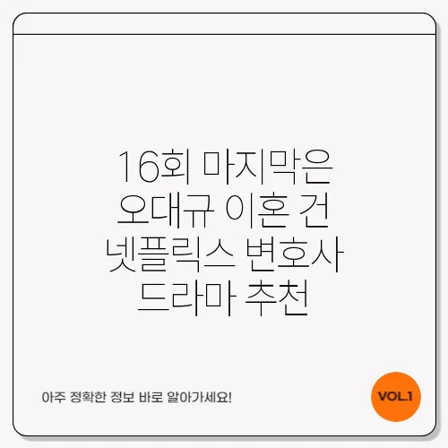 16회 마지막은 오대규 이혼 건 넷플릭스 변호사 드라마 추천