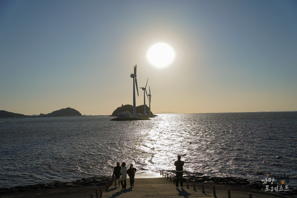 안산 탄도항 만조