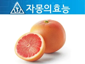 자몽 효능과 건강 효과_13