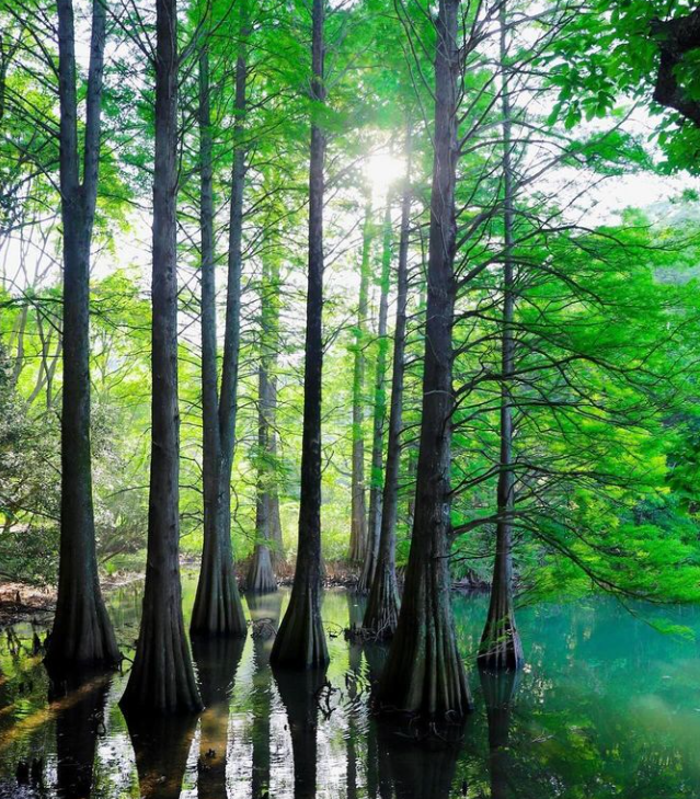 후쿠오카 난조인 03