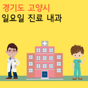 경기도 고양시 일요일 진료 내과