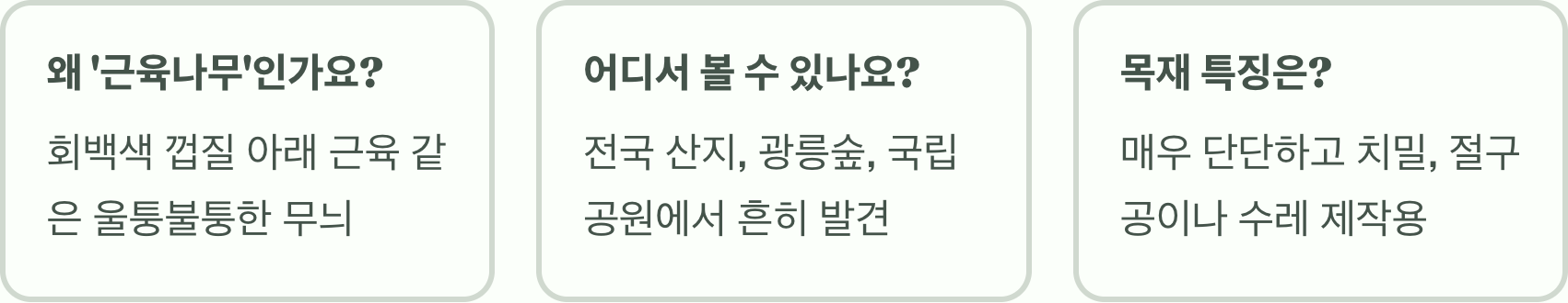 근육질 나무, 서어나무의 모든 것을 알려드립니다